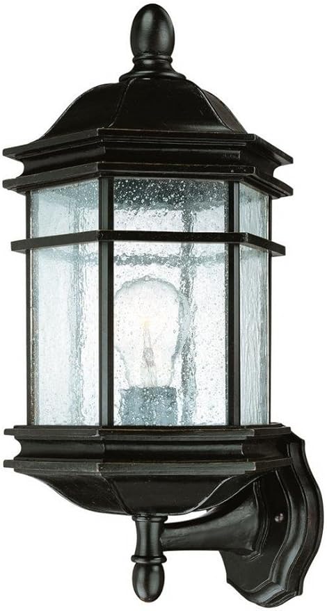 Dolan Designs 9236-68 Barlow Outdoor Wall Light 16 3/4 Winchester