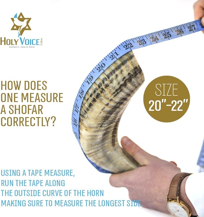 Holy Voice Sterling Silver-Plated Lions &amp Crown 20-22 Decoratve Ram Shofar With Shofar Stand Carrying Bag and Cleaning Brush – Made in Israel.