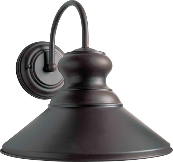 Forte Lighting 1227-01-32DS Transitional 1-Light Exterior Dark Sky Wall Mount Antique Bronze Finish
