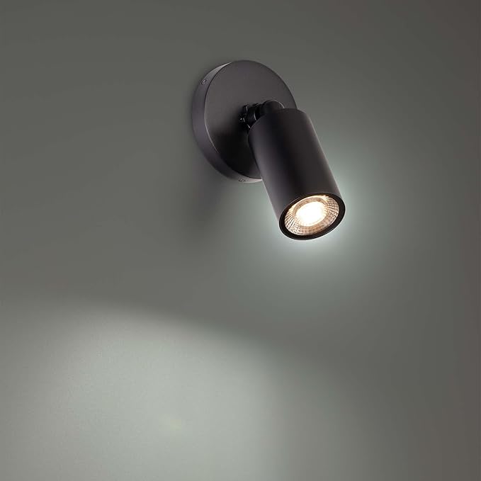 Cylinder LED Single Adjustable Indoor or Outdoor Wall Light 3000K in Black