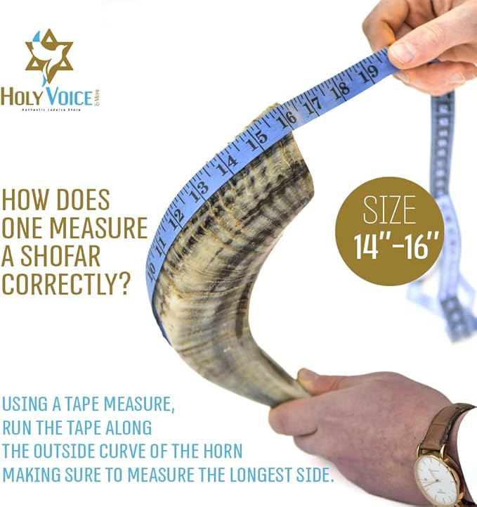 Holy Voice Sterling Silver-Plated Jerusalem Decoration Ram Shofar 14-16 With Shofar Stand Carrying Bag and Cleaning Brush – Made in Israel.
