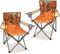 2 Pcs Animal Pattern Camping ChairFolding Backpacking Lightweight Beach Chair w/Cup HolderSide PocketCarry BagPortable Adults Lawn Chair for Family OutdoorHikingPartiesZebra