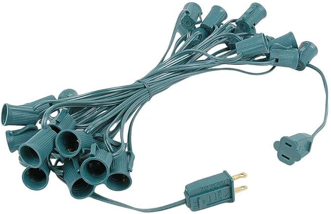 G40 Patio String Lights with 25 Green Globe Bulbs - Hanging Garden String Lights - Vintage Backyard Patio Lights - Outdoor String Lights - Market Cafe String Lights - Green Wire - 25 Foot