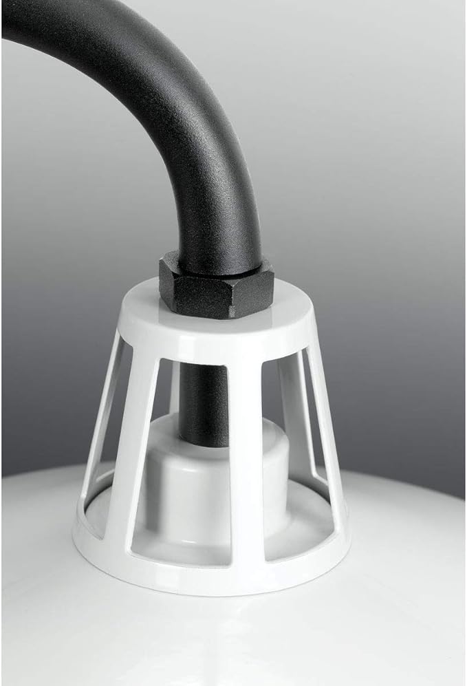Progress Lighting Cedar Springs Collection 1-Light Farmhouse Outdoor Extra-Large Wall Lantern Light White