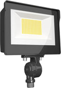 RAB Lighting Flood FA 35W LED 120-277V