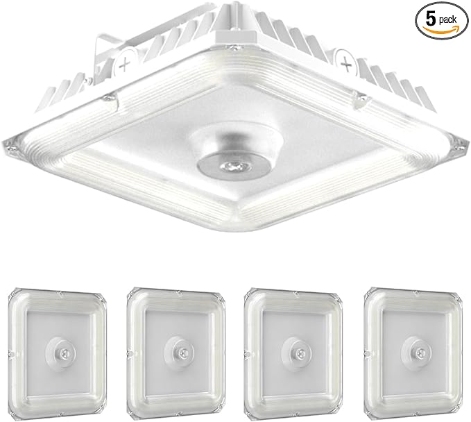 LED Canopy Light 100W10x10 Outdoor Gas Station Light with Selectable Wattage (100/80/60W/40W) and CCT (5000/4000/3000K) 1-10V DimmableCanopy Lights for Garage Barn ETC&ampDLC Listed