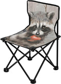 Poor Raccoon Portable Camping Chairs Folding Chair - Durable Oxford Fabric Lightweight Iron Frame Easy Fold Design - Ideal for Outdoor Activities Camping Fishing and Travel
