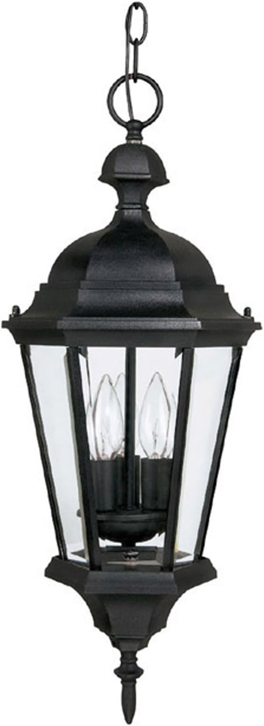 Capital Lighting 9724BK Carriage House Clear Glass Outdoor Pendant 3-Light 120 Total Watts 23 H x 10 W Black