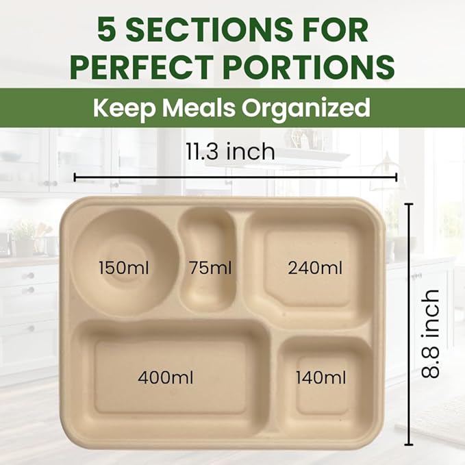 Dtocs 5 Compartment Plates Disposable (40 Pcs.) 9 Inch | Bamboo Fiber Heavy Duty Divided Plates | Sectional Trays for Cafeteria Lunch Buffet Camping | Sturdy Microwavable Divided Bamboo Plate Set