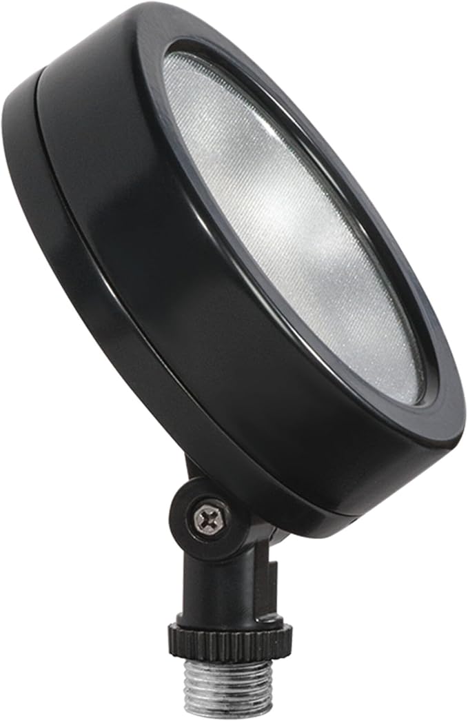 RAB Lighting Leslie Bullet Flood 13W LED