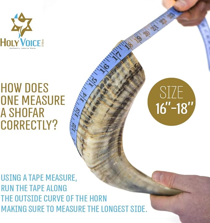 Holy Voice Sterling Silver-PlatedLions &amp Crown Decoration Ram Shofar 16-18 With Shofar Stand Carrying Bag and Cleaning Brush – Made in Israel.