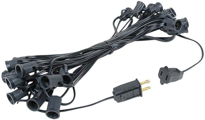 G40 25ft Outdoor Patio Cafe String Lights 25 Clear Globe Bulbs Indoor/Outdoor Black Wire