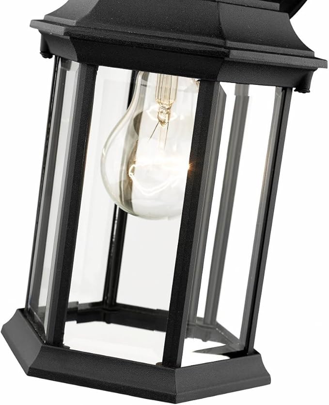 Z-Lite T21BK 1-Light Outdoor Wall Light Clear Beveled Shade