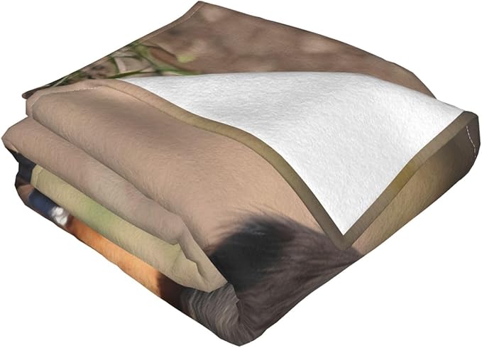 Dachshund Puppy 60x50 Printed Soft Fleece Blanket for Sofa Bed and Camping - Cozy Blanket for Travel Picnics Nighttime Use