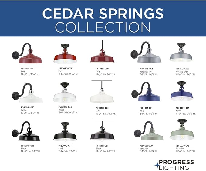 Progress Lighting Cedar Springs Collection 1-Light Farmhouse Outdoor Extra-Large Wall Lantern Light Pistachio