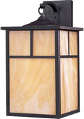 Maxim Coldwater-1 Light Outdoor Wall Lantern in