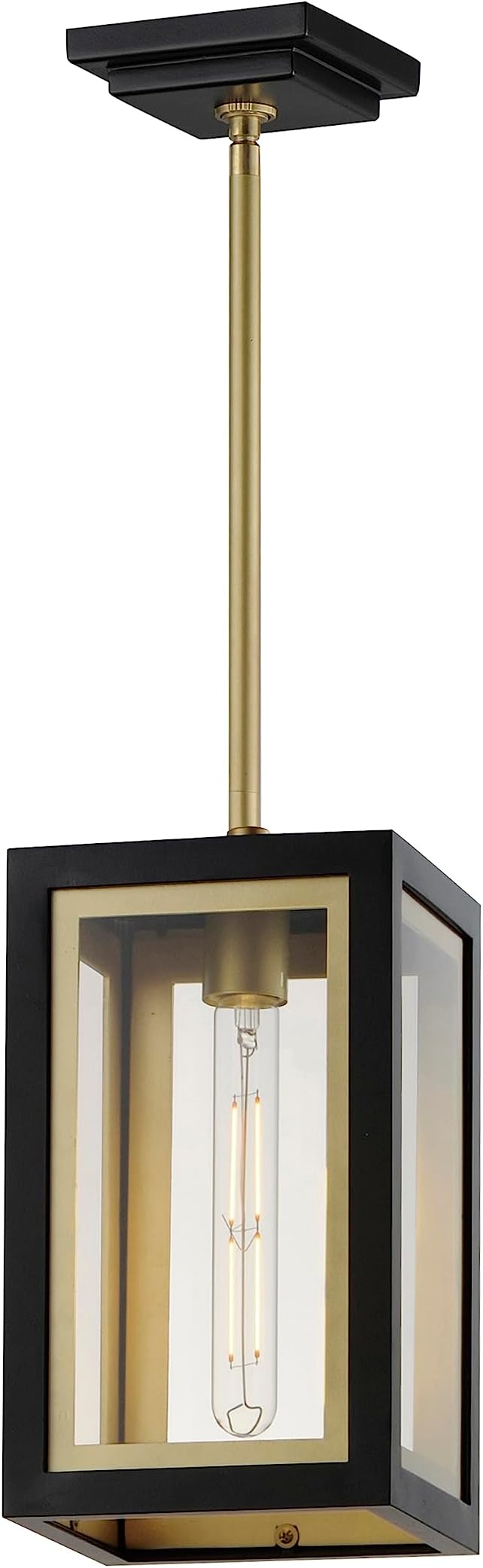 Maxim Lighting 30051CLBKGLD I Neoclass Collection 12 Inch One Light Outdoor Ceiling Pendant I Black &amp Gold Finish I Modern Contemporary Light Fixture I Adjustable Height I