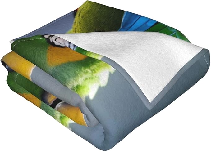 Feathers 50x40 Printed Soft Fleece Blanket for Sofa Bed and Camping - Cozy Blanket for Travel Picnics Nighttime Use