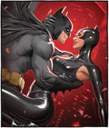 LOGOVISION Batman Catwoman Embrace Outdoor Blanket for Picnic Beach Camping Park Tailgate 50x60