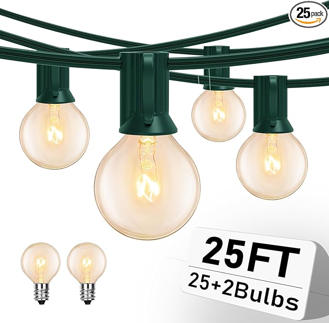 25FT Outdoor String Lights with 27 Clear Bulbs G40 Globe Patio String Lights for Indoor/Outdoor Connectable Hanging Lights for Backyard Porch Balcony Party Decor - Green Wire