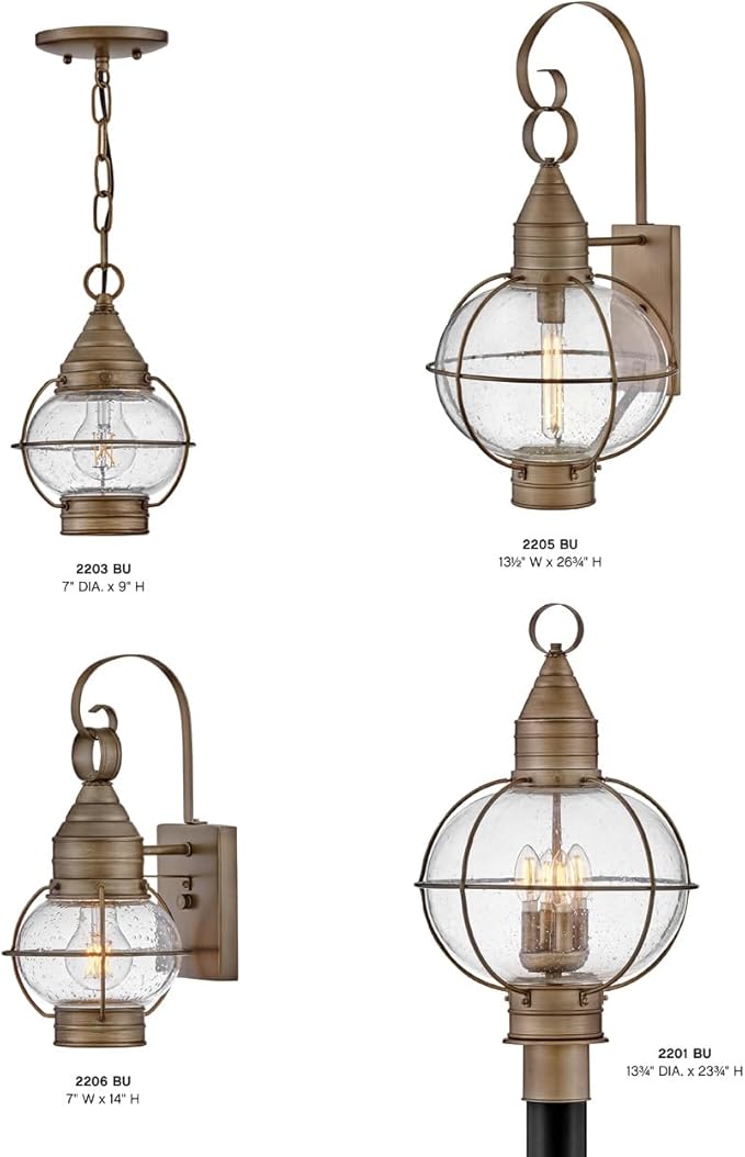 Hinkley Cape Cod 2205BU Large Outdoor Wall Mount Onion Lantern Clear Seedy Glass Wet Rated Burnished Bronze