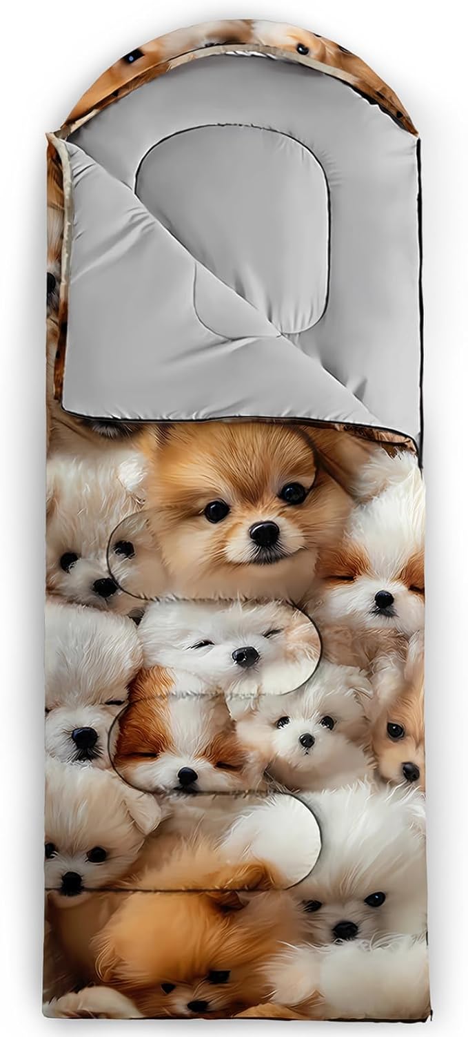 Sleeping BagSleeping BagsOutdoor Camping Sleeping Bag