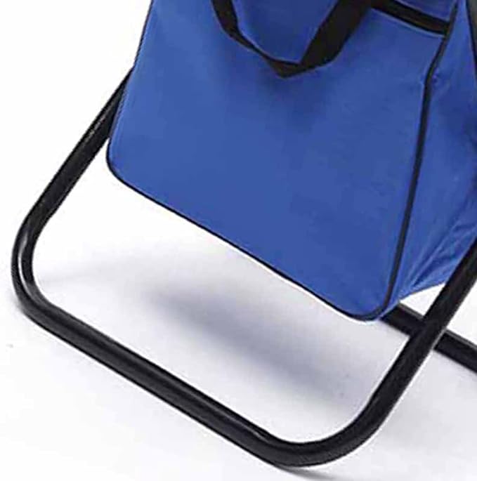 Strong Bearing Capacity Folding Chair Comfortable Fabric Armchair with Storage Pocket Bag Fishing Chair for Camping Fishing Outdoors Portable Lightweight (Blue)