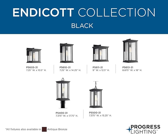 Progress Lighting Endicott Collection 1-Light Clear Seeded Glass Craftsman Outdoor Medium Wall Lantern Light Textured Black