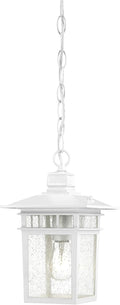 Nuvo Lighting 60/4954 Traditional One Light Hanging Lantern from Cove Neck collection in White finish