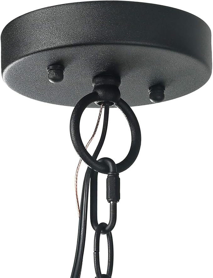 LOG BARN Outdoor Pendant Lights Porch Fixture in Painted Black Metal with Clear Bubbled Glass Globe Hanging Lantern Lamp for Gazebo Entry Yard