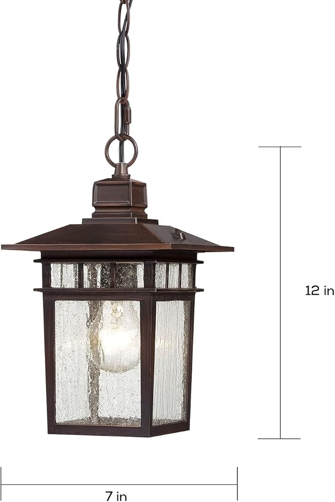 Nuvo Lighting 60/4955 Traditional One Light Hanging Lantern from Cove Neck collection in Bronze/Dark finish
