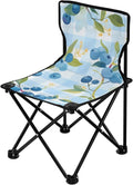 Fresh Blueberry Portable Camping Chairs Folding Chair - Durable Oxford Fabric Lightweight Iron Frame Easy Fold Design - Ideal for Outdoor Activities Camping Fishing and Travel