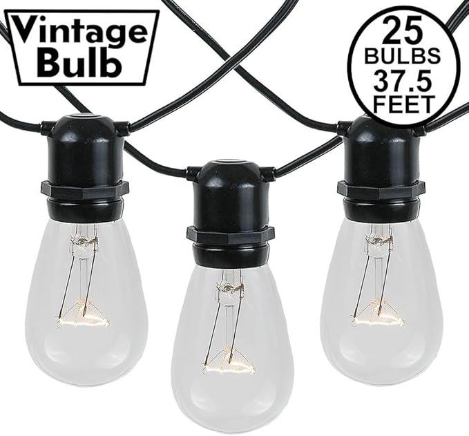 Novelty Lights 37.5 Feet 25 in-Line E26 Sockets S14 String Light Set with Clear Incandescent Bulbs Heavy Duty Black Wire Patio Lights Weather Resistant End-to-End Connectable