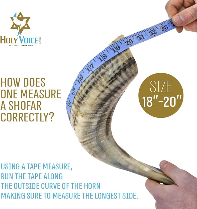 Holy Voice Sterling Silver-Plated Jerusalem 18-20 Decorative Ram Shofar With Shofar Stand Carrying Bag and Cleaning Brush – Made in Israel.
