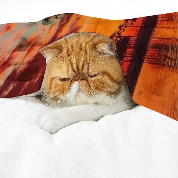 Sunset Palm Trees Water Flannel Blanket Soft Cozy Multifunctional Blanket for Sofa Travel Camping All Season Use 50x60in