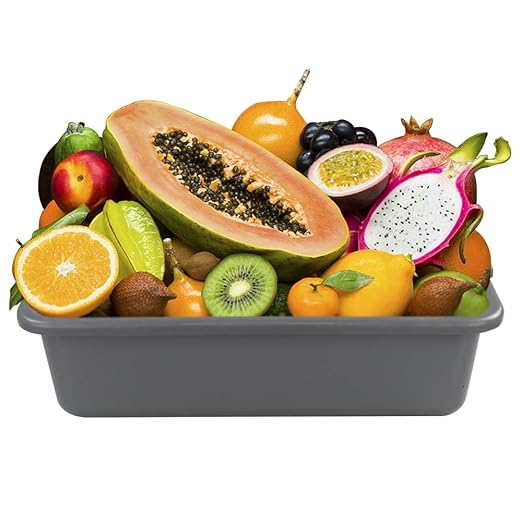 Kiddream Set of 4 Rectangle Bus Tubs 24 Quart Plastic Commercial Bus Trays Grey