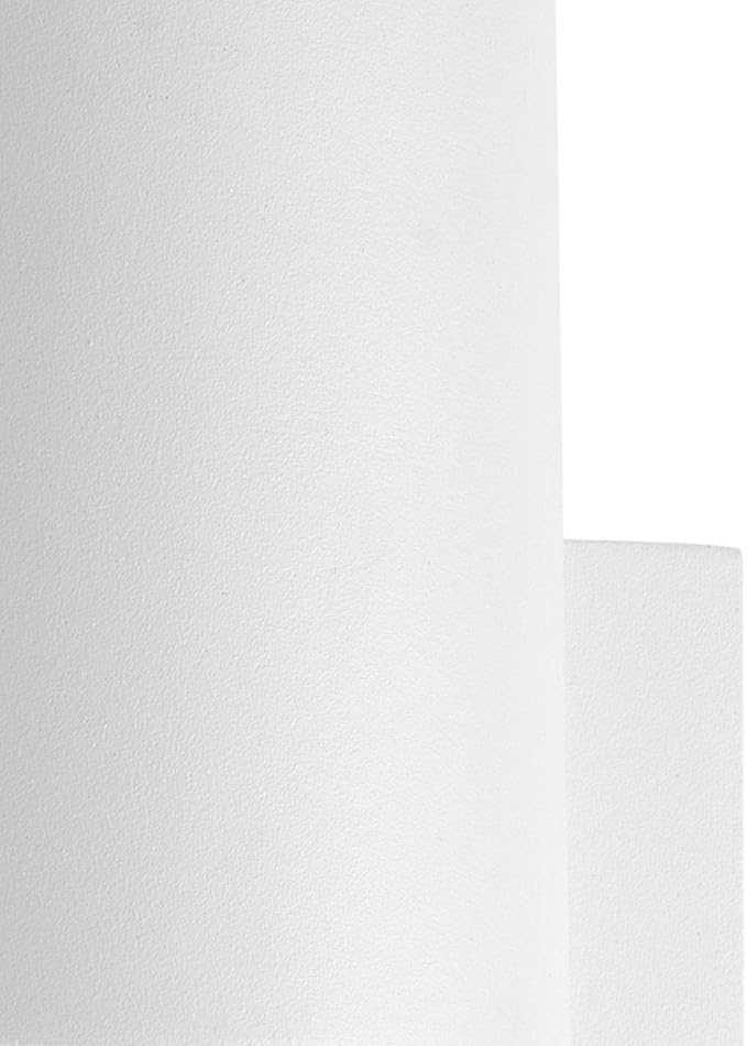 Progress Lighting Z-1030 LED Collection 1-Light Clear Glass Modern Outdoor Medium Wall Lantern Light White