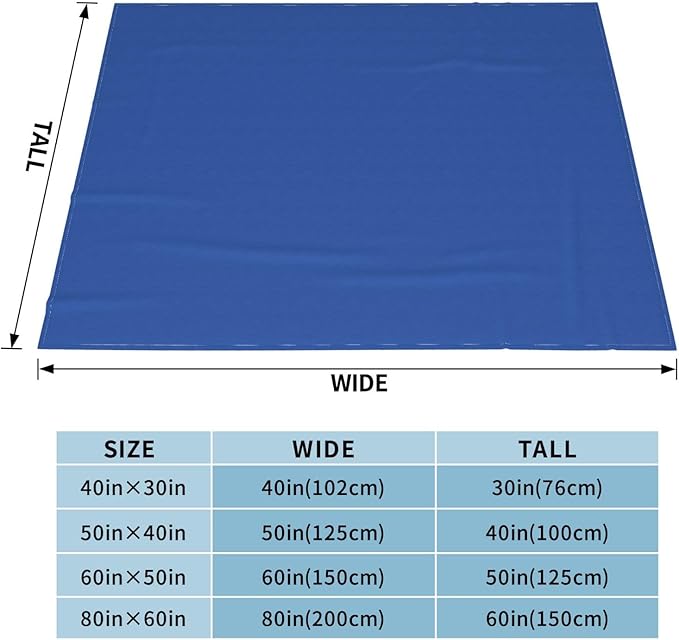 Ultramarine Blue Soft Fleece Blanket 60 * 50 inch Soft Sofa Blanket Suitable for Sofa Camping Travel Night Cover Blanket