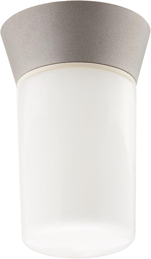 Nuvo Lighting SF77/155 One Light Ceiling Mount