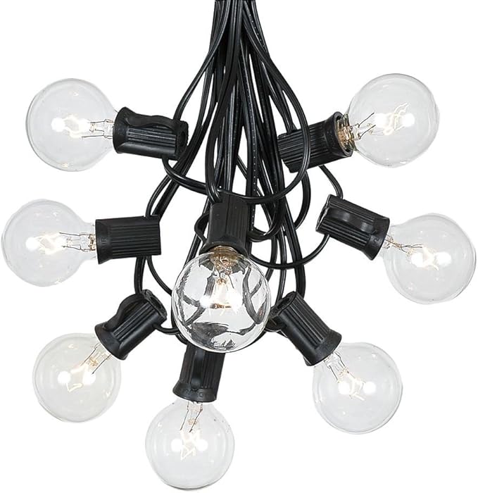 G40 25ft Outdoor Patio Cafe String Lights 25 Clear Globe Bulbs Indoor/Outdoor Black Wire