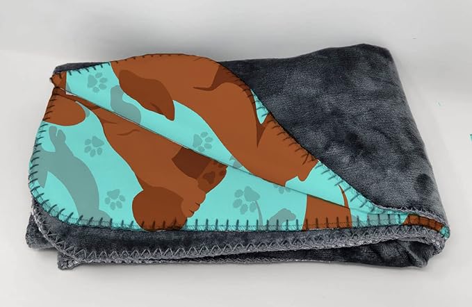 Caroline's Treasures MLM1048TBLT Red Dachshund Soft Travel Blanket with Bag Airplane Blanket Indoor Outdoor Camping Blanket for Traveling Picnics Beach Trips Concerts