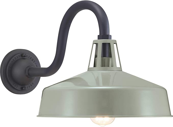 Progress Lighting Cedar Springs Collection 1-Light Farmhouse Outdoor Extra-Large Wall Lantern Light Pistachio