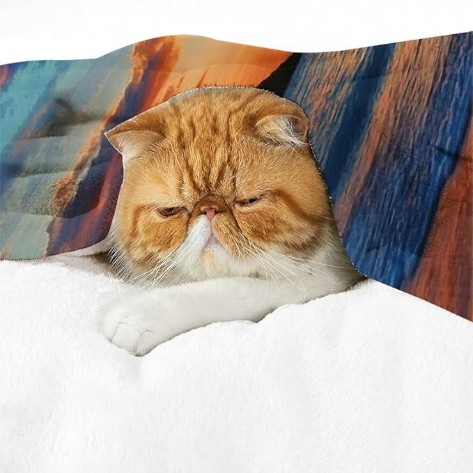 Palm Tree Beach Sunset Flannel Blanket Soft Warm Lightweight Multi-Purpose Blanket for Sofa Travel Camping Bed Chair 40x50in