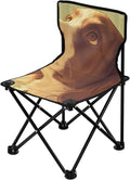 Confused Dog Portable Camping Chairs Folding Chair - Durable Oxford Fabric Lightweight Iron Frame Easy Fold Design - Ideal for Outdoor Activities Camping Fishing and Travel