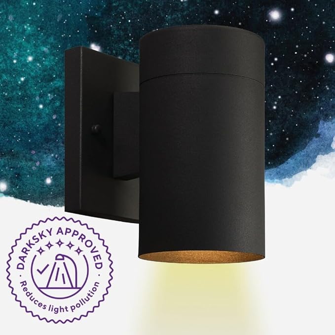 Canarm Nightsky 1-Light Outdoor Lantern Matte Black Wall Light with Easy Install Dark Sky Approved Durable Wet-Rated Outdoor Lighting