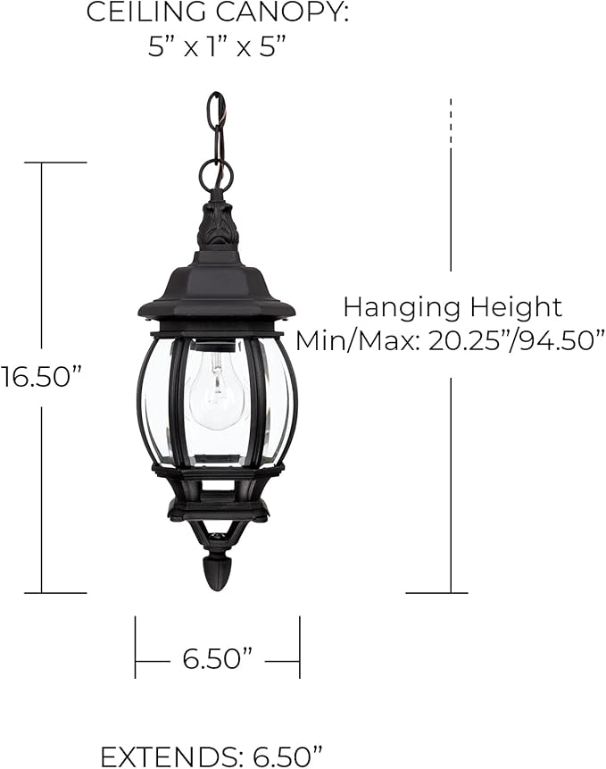 Capital Lighting 9868BK French Country Clear Glass Outdoor Pendant 1-Light 100 Watt 17 H x 7 W Black