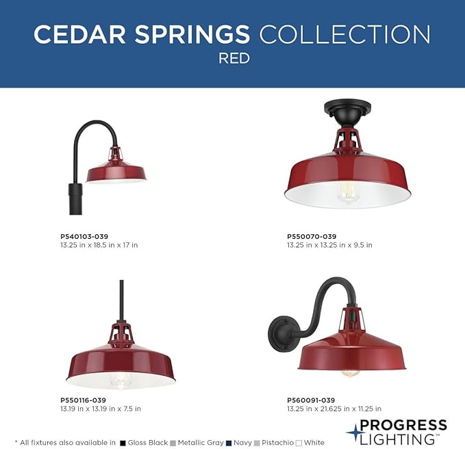 Progress Lighting Cedar Springs Collection 1-Light Farmhouse Outdoor Extra-Large Wall Lantern Light Red