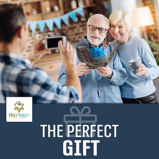 Holy Voice Sterling Silver-Plated Lions &amp Crown 24-26 Decoration Ram Shofar With Shofar Stand Carrying Bag and Cleaning Brush