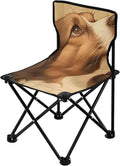 Serious Dog Portable Camping Chairs Folding Chair - Durable Oxford Fabric Lightweight Iron Frame Easy Fold Design - Ideal for Outdoor Activities Camping Fishing and Travel