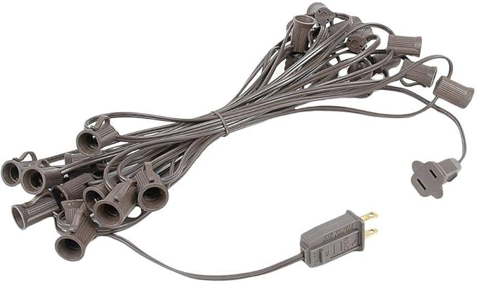 G40 Patio String Lights with 25 Clear Globe Bulbs - Hanging Garden String Lights - Vintage Backyard Patio Lights - Outdoor String Lights - Market Cafe String Lights - Brown Wire - 25 Foot